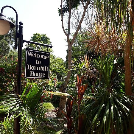 Mtubatuba Hornbill House Bed & Breakfast エクステリア 写真