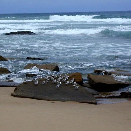 Mtubatuba Hornbill House Bed & Breakfast エクステリア 写真
